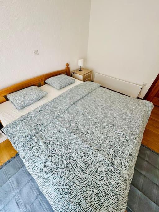Apartment Latice